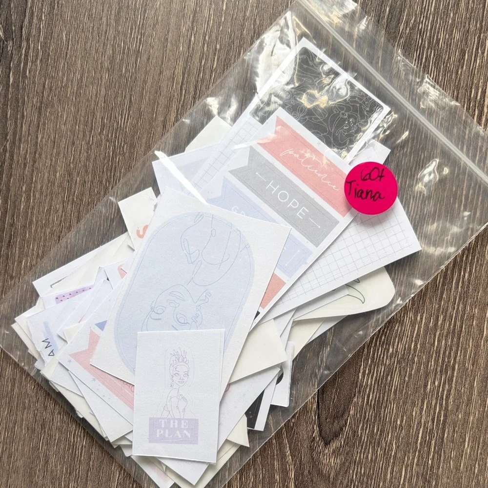 ❤️$5 Disney Tiana Not So Mystery Happy Planner Sticker Set